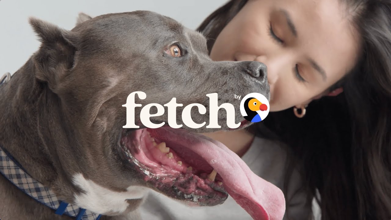 國寵物保險公司 Fetch 推出狗疾病數據平台