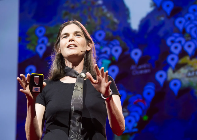 達芙妮·科勒在TED演講中發表她對線上教育的看法 (Image: TED)